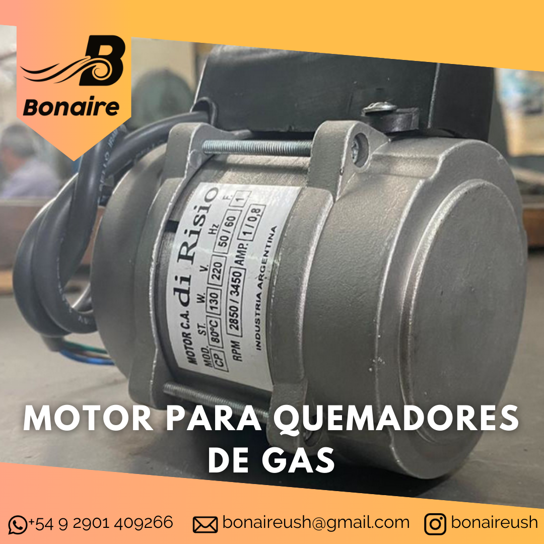 Motor Para Quemadores De Gas - Imagen 2