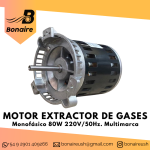 Motor Extractor De Gases